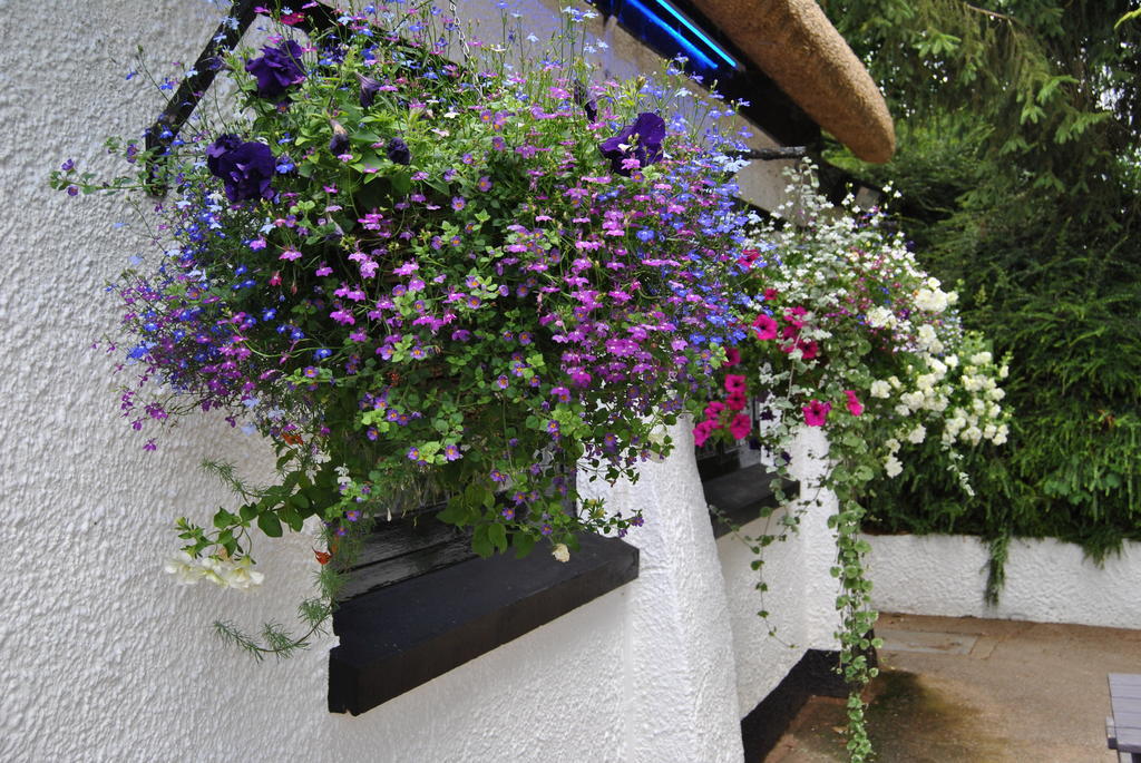 The Trout Inn Тивертон Экстерьер фото